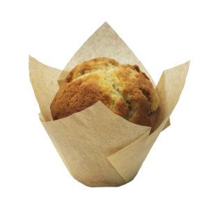 Vanilla Muffin