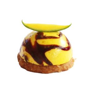 Chocolate and Mango Dome